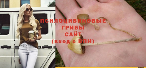COCAINE Билибино